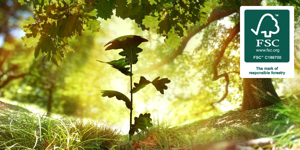 What FSC Certification Means for Wood Flooring