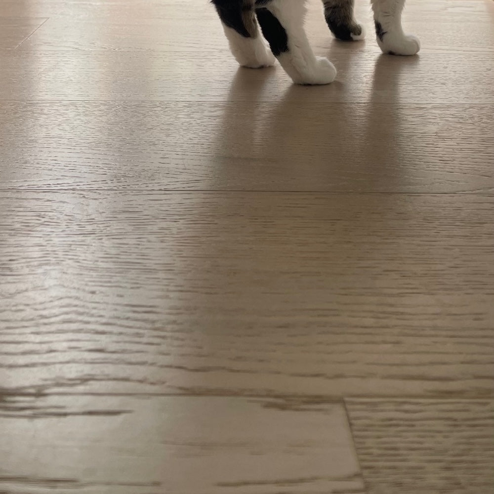 The Family Floor White Lady Engineered European Oak Flooring